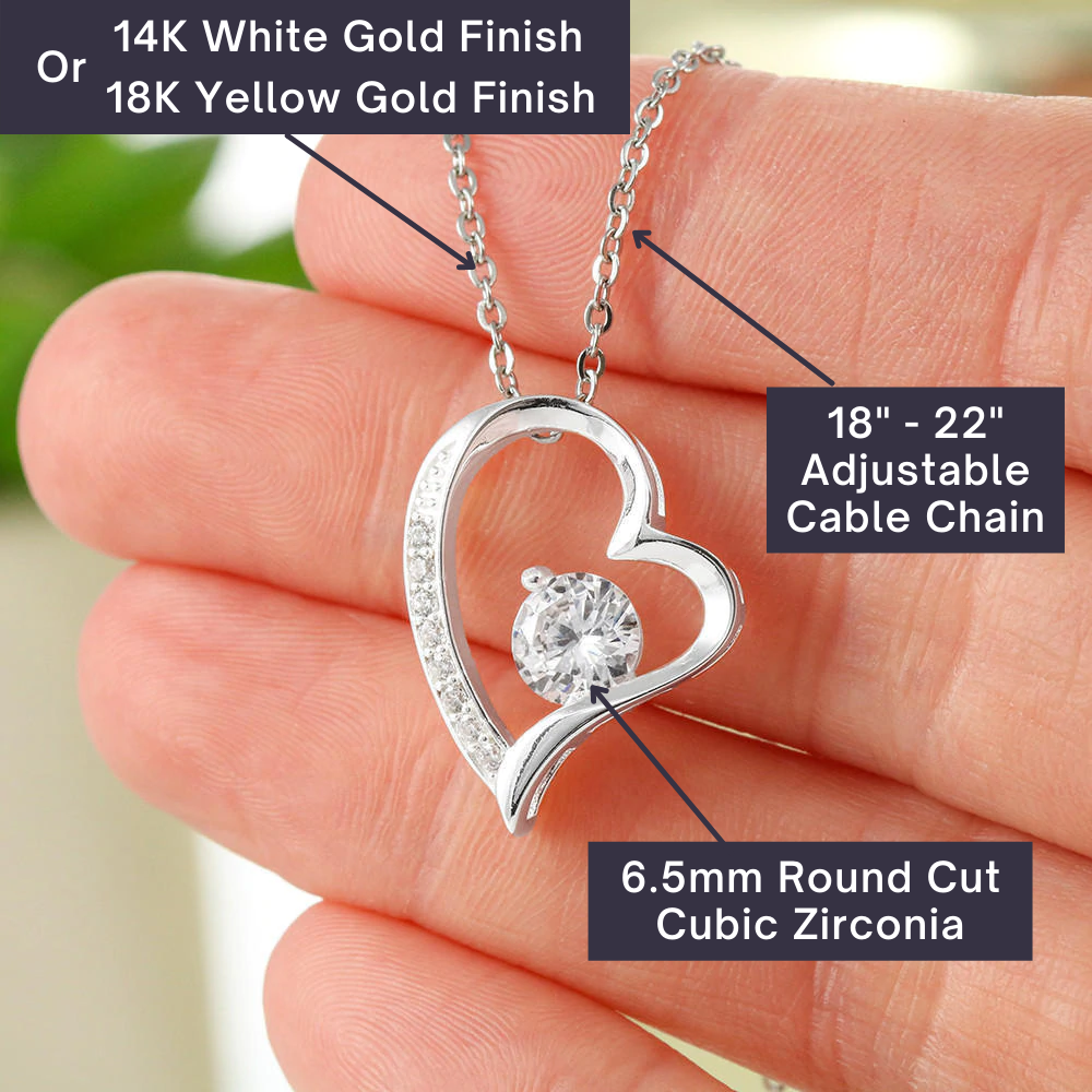 Christmas Necklace Gift to Wife - The day you came into my life you stole my heart