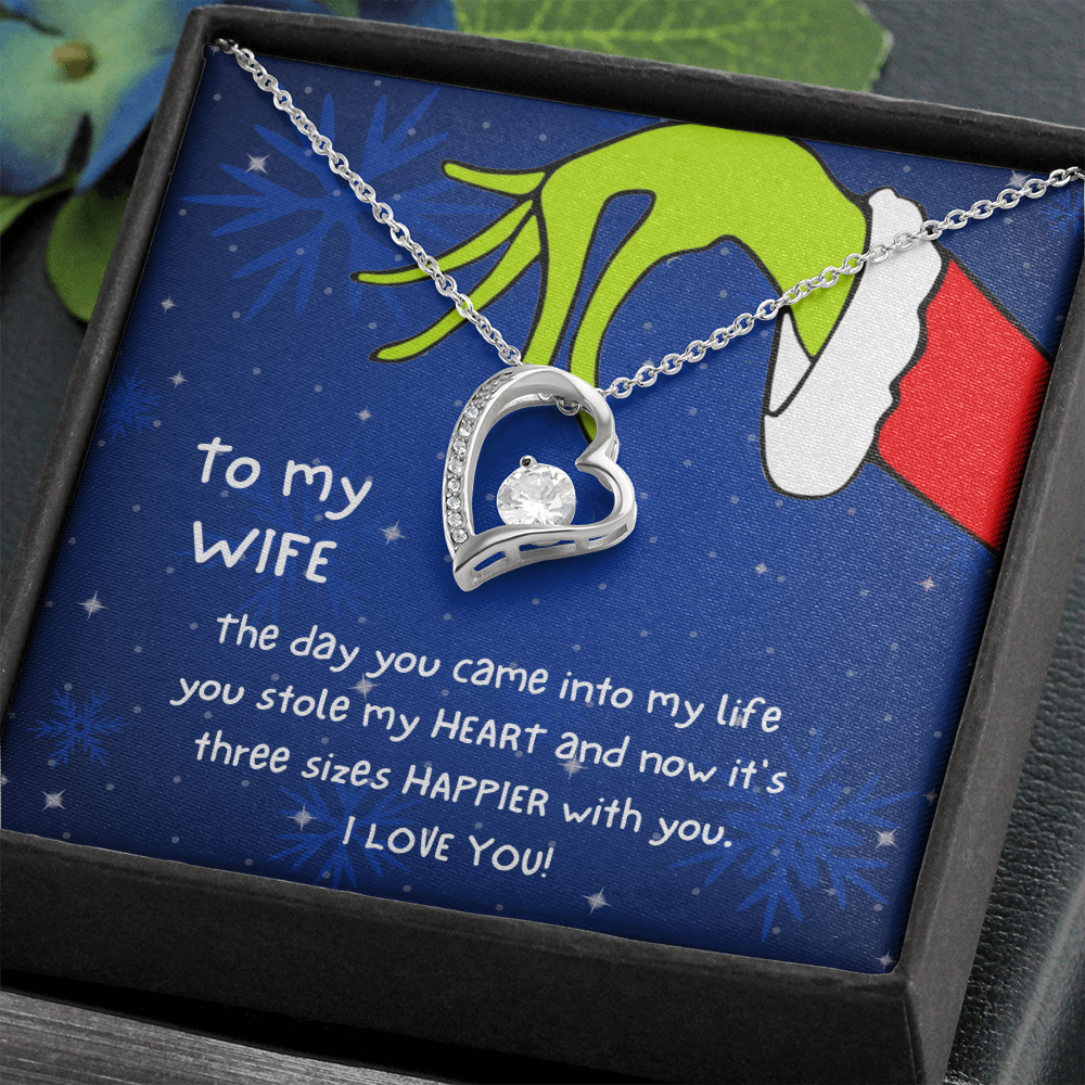 Christmas Necklace Gift to Wife - The day you came into my life you stole my heart