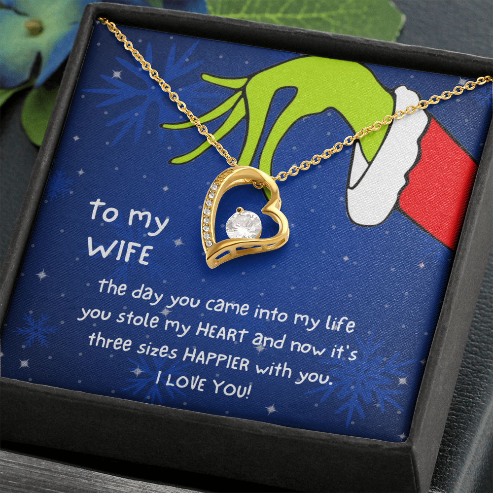 Christmas Necklace Gift to Wife - The day you came into my life you stole my heart