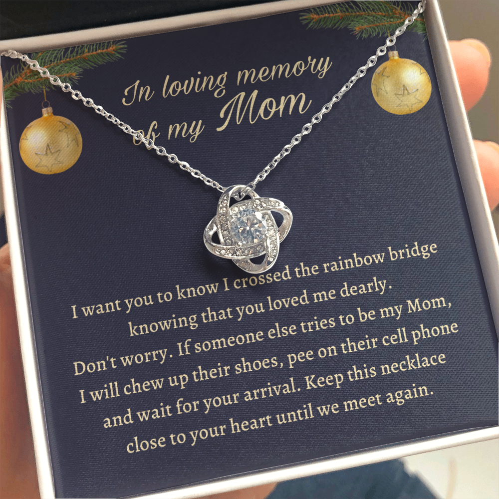 Remembrance Gift for daughter - Keep this necklace close to your heart until we meet again