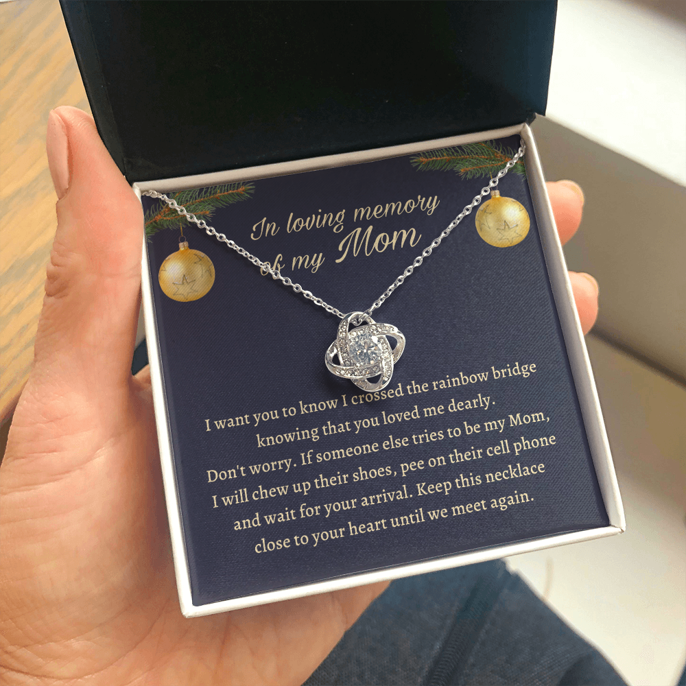 Remembrance Gift for daughter - Keep this necklace close to your heart until we meet again