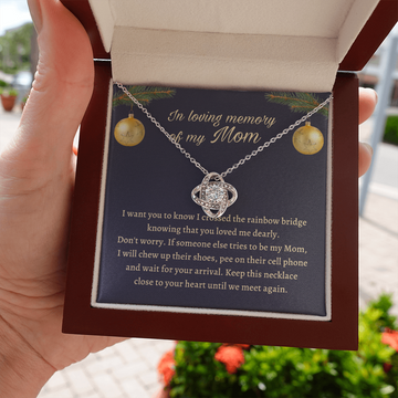 Remembrance Gift for daughter - Keep this necklace close to your heart until we meet again